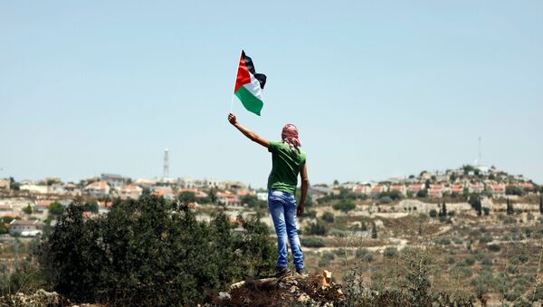 Un protestante con la bandera de Palestina - Sputnik Mundo