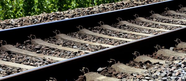 Un ferrocarril (imagen referencial) Un ferrocarril (imagen referencial) - Sputnik Mundo