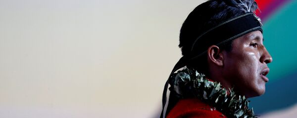 Un hombre indígena de Ecuador (imagen referencial) Un hombre indígena de Ecuador (imagen referencial) - Sputnik Mundo