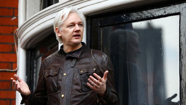 Julian Assange, fundador de Wikileaks, en la embajada de Ecuador en Londres (archivo) - Sputnik Mundo
