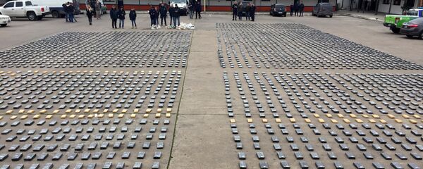 Drogas confiscadas (imagen referencial) Drogas confiscadas (imagen referencial) - Sputnik Mundo