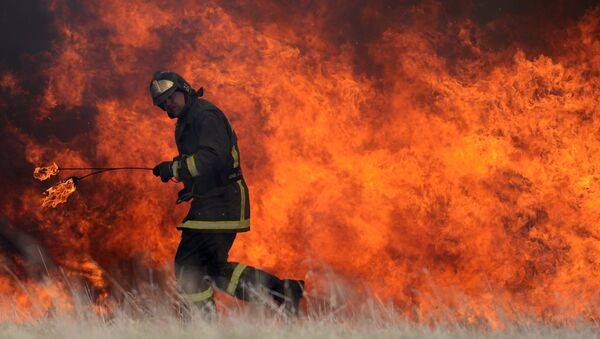 Incendios forestales en Rusia (archivo) - Sputnik Mundo