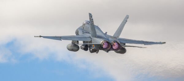 Caza F-18 de la Fuerza Aérea de España Caza F-18 de la Fuerza Aérea de España - Sputnik Mundo