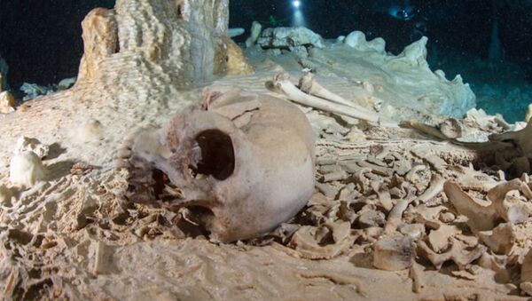 Cráneo encontrado en la cueva Chan Hol, península de Yucatán, México - Sputnik Mundo