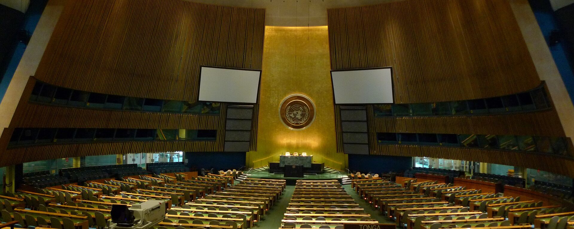 Asamblea General de ONU - Sputnik Mundo, 1920, 20.01.2022