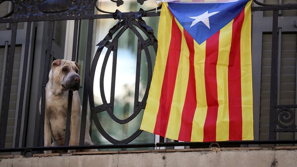 Un perro con Estelada, bandera separatista de Cataluña - Sputnik Mundo