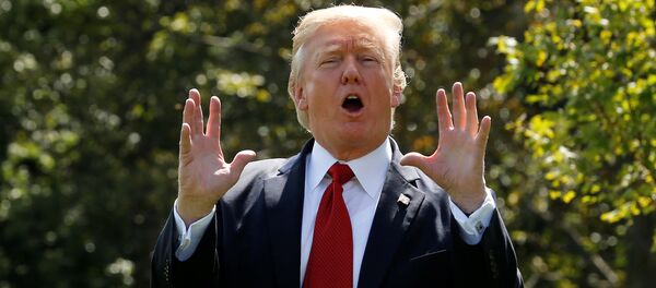 Donald Trump, presidente de EEUU (archivo) Donald Trump, presidente de EEUU (archivo) - Sputnik Mundo