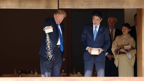 Donald Trump y el primer ministro de Japón, Shinzo Abe, alimentan a las carpas - Sputnik Mundo