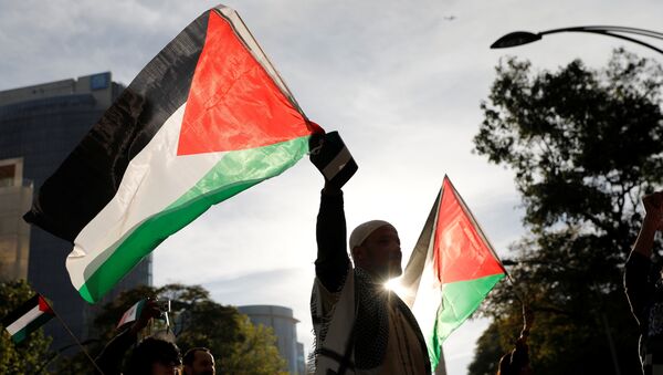 Un hombre con la bandera de Palestina (archivo) - Sputnik Mundo