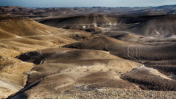 El desierto israelí, imagen ilustrativa - Sputnik Mundo