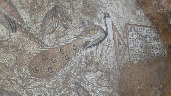 Mosaico de la época bizantina encontrado en Akerbat, Siria - Sputnik Mundo
