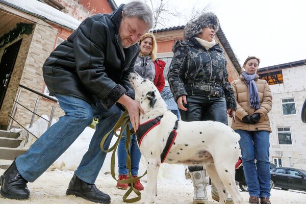 El candidato presidencial de Rusia por el partido Yábloko, Grigori Yavlinski, durante una visita a un refugio de perros - Sputnik Mundo
