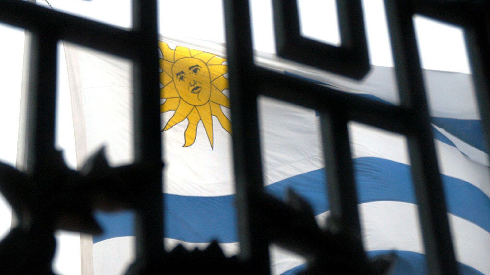 La bandera de Uruguay - Sputnik Mundo, 1920, 06.12.2022