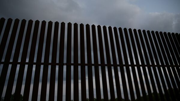 La frontera entre EEUU y México - Sputnik Mundo