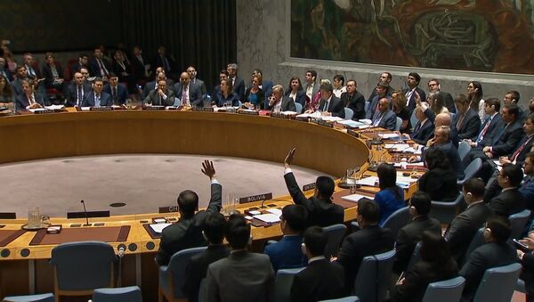 El Consejo de Seguridad de la ONU rechaza la resolución rusa sobre el ataque contra Siria - Sputnik Mundo