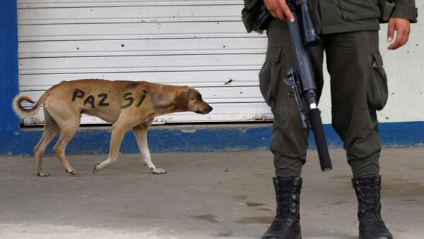 Un perro con las palabras paz sí en su lado en Colombia - Sputnik Mundo