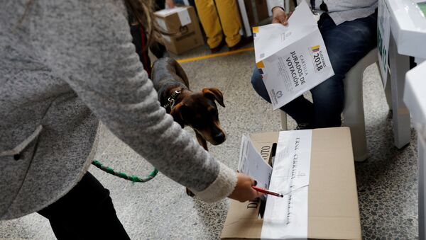 Una colombiana vota con su perro durante las elecciones del 27 de mayo - Sputnik Mundo