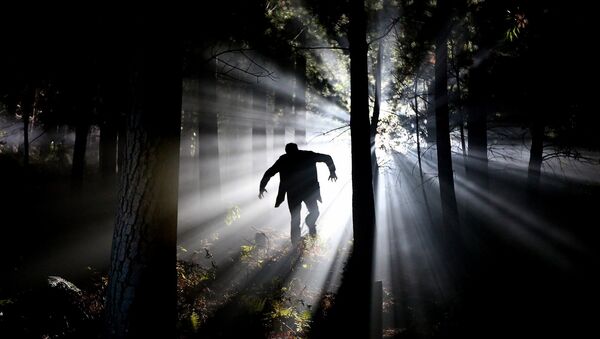 Un bosque terrible y la  terrible sombra de un hombre que pasea entre los árboles - Sputnik Mundo