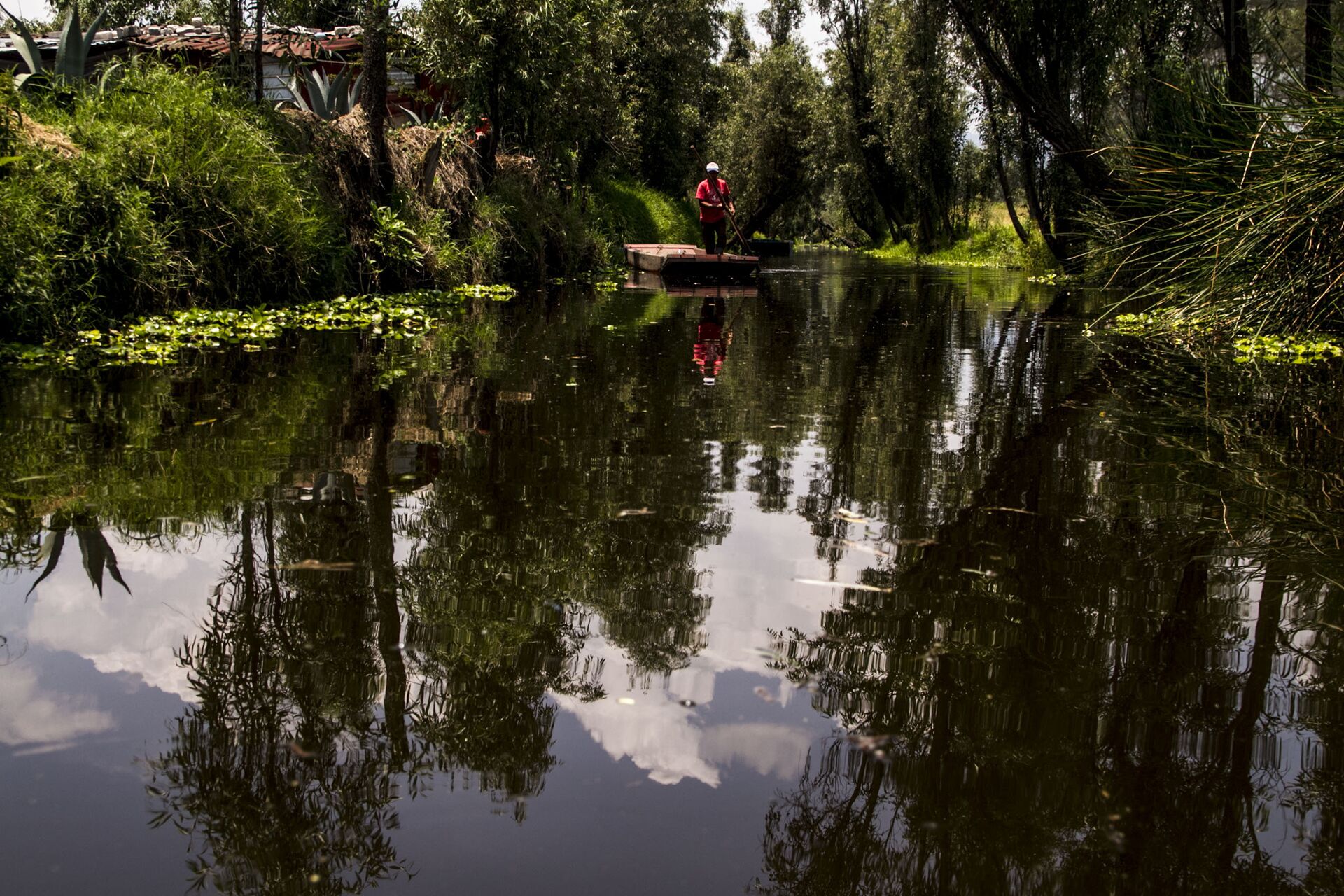 Campesino en el canal de Xochimilco el último lago de la Ciudad de México - Sputnik Mundo, 1920, 26.01.2022