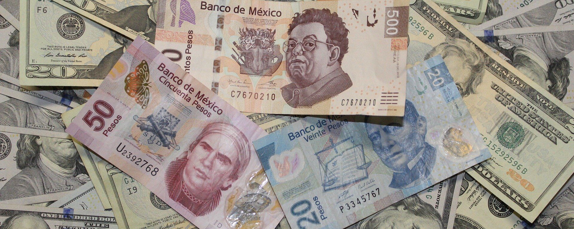 Pesos mexicanos y dólares estadounidenses - Sputnik Mundo, 1920, 06.08.2021