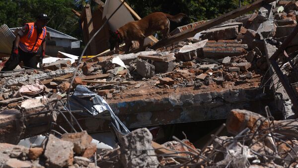 Consecuencias del terremoto en la isla de Lombok, Indonesia - Sputnik Mundo