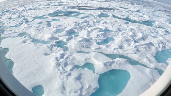 Océano Ártico (archivo) - Sputnik Mundo