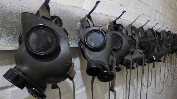 Máscaras de gas - Sputnik Mundo