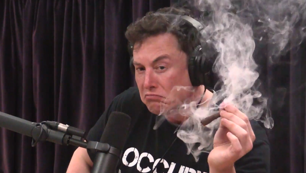 Elon Musk fuma marihuana - Sputnik Mundo