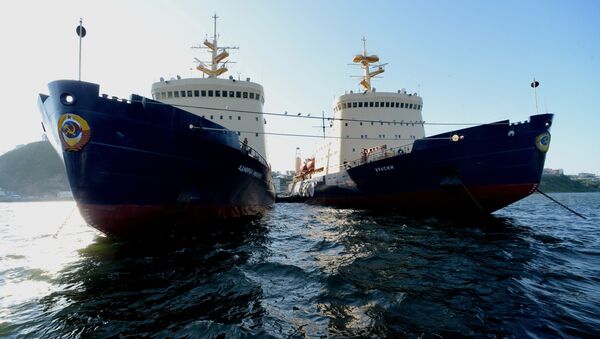 Unos rompehielos de la empresa rusa de transporte FESCO en Vladivostok, parte de la Ruta Marítima Norte - Sputnik Mundo