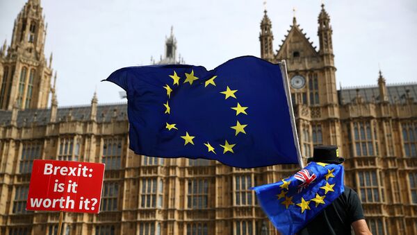 Un manifestante con la bandera de la UE en Londres, el Reino Unido - Sputnik Mundo