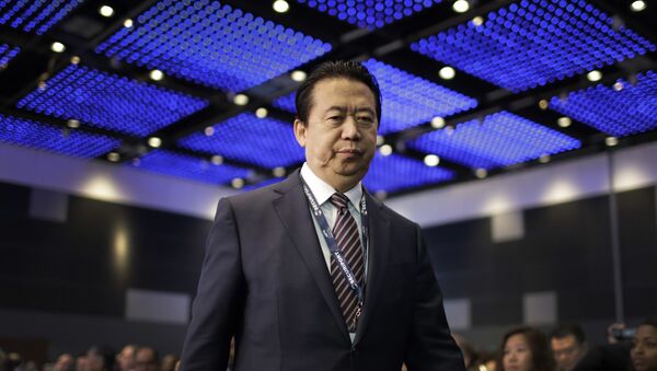 Meng Hongwei, exjefe de Interpol - Sputnik Mundo