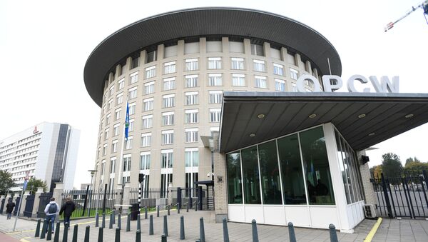 La sede de la OPAQ en La Haya - Sputnik Mundo