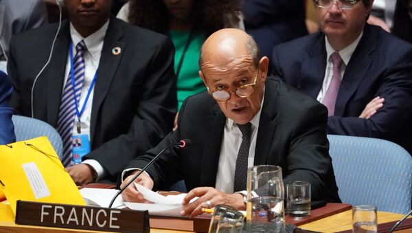 El ministro de Relaciones Exteriores francés, Jean-Yves Le Drian, habla en la reunión del Consejo de Seguridad de las Naciones Unidas - Sputnik Mundo