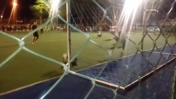 En Brasil, hasta los perros son cracks de fútbol - Sputnik Mundo