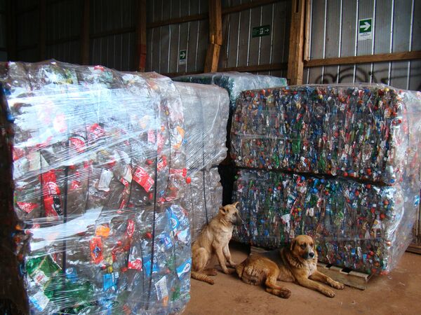 Las autoridades de la isla de Pascua no poseen la capacidad de procesar toda la basura acumulada en la isla, por lo que los desperdicios son simplemente almacenados Las autoridades de la isla de Pascua no poseen la capacidad de procesar toda la basura acumulada en la isla, por lo que los desperdicios son simplemente almacenados - Sputnik Mundo