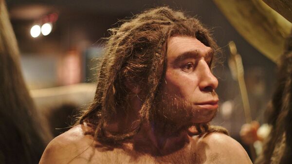 Un homo neanderthalensis en el museo de Munster (Alemania) - Sputnik Mundo
