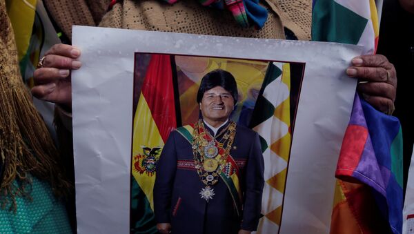 Una partidaria de Evo Morales, presidente de Bolivia - Sputnik Mundo