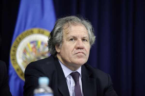 Reelección de Almagro en la OEA: ¿un arma de doble filo para EEUU? Reelección de Almagro en la OEA: ¿un arma de doble filo para EEUU? - Sputnik Mundo