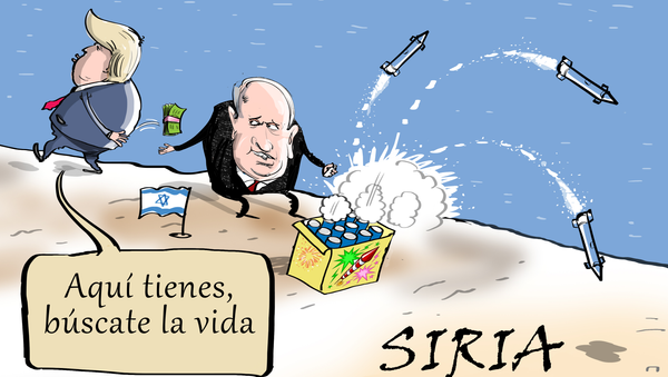 'Bibi' sabe defenderse él solito - Sputnik Mundo