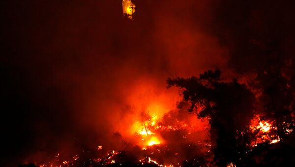 Incendio forestal en Parque Metropolitano de Santiago de Chile - Sputnik Mundo