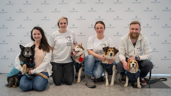 Las mascotas están bienvenidas!❤️🐶 – Foto de O Colmado D'arou