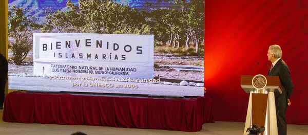 Andrés Manuel López Obrador, presidente de México Andrés Manuel López Obrador, presidente de México - Sputnik Mundo