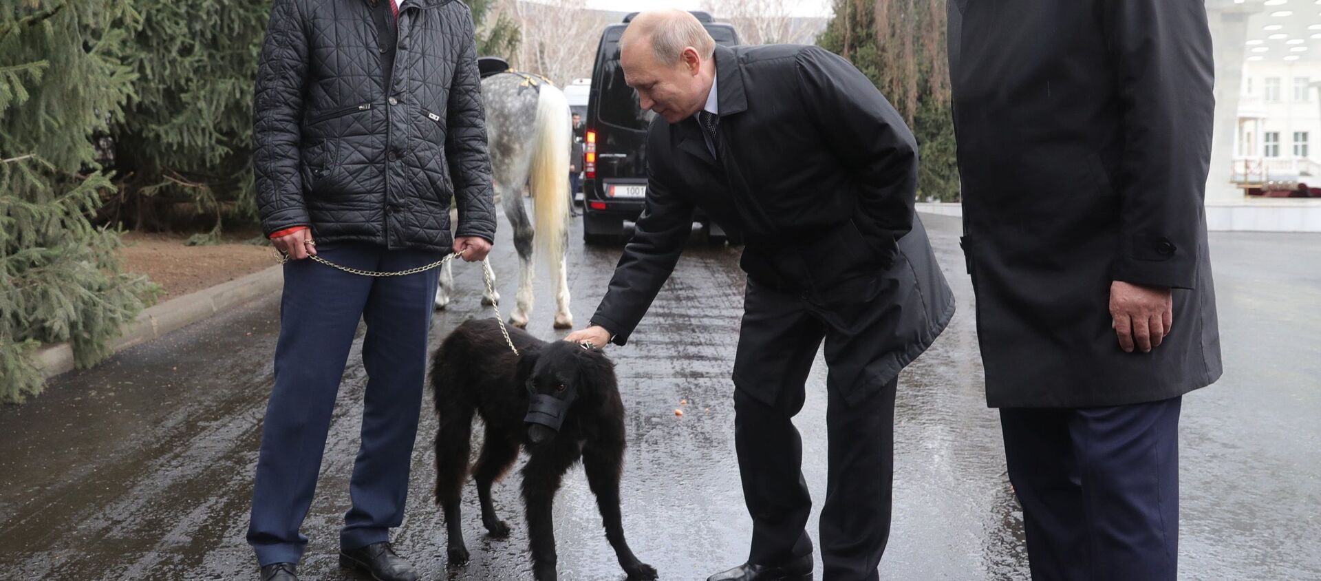 El presidente kirguís, Sooronbay Jeenbekov, le regala al presidente ruso, Vladímir Putin, un cachorro - Sputnik Mundo, 1920, 29.03.2019