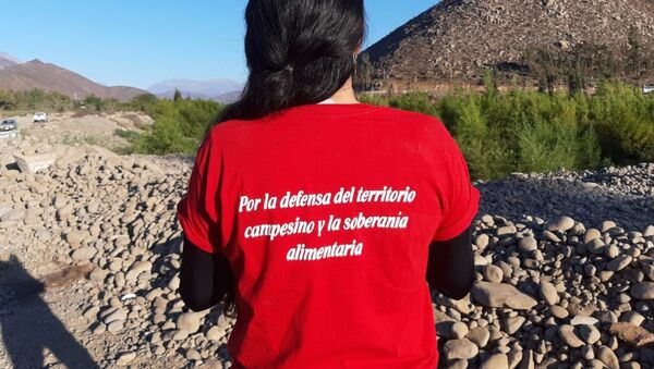 Resistencia civil en Salamanca, Chile, contra la minera Los Pelambres - Sputnik Mundo