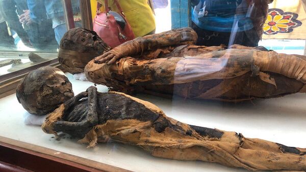 Las momias en una antigua tumba en Egipto - Sputnik Mundo