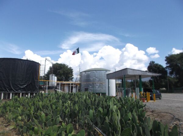 La planta de NopaliMex, que transforma el cactus —nopal— en energía para usos productivos La planta de NopaliMex, que transforma el cactus —nopal— en energía para usos productivos - Sputnik Mundo
