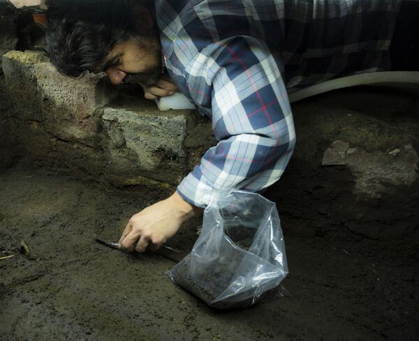 Miguel Báez haciendo trabajo de excavación en el hallazgo de la ofrenda 178 del proyecto Templo Mayor Miguel Báez haciendo trabajo de excavación en el hallazgo de la ofrenda 178 del proyecto Templo Mayor - Sputnik Mundo