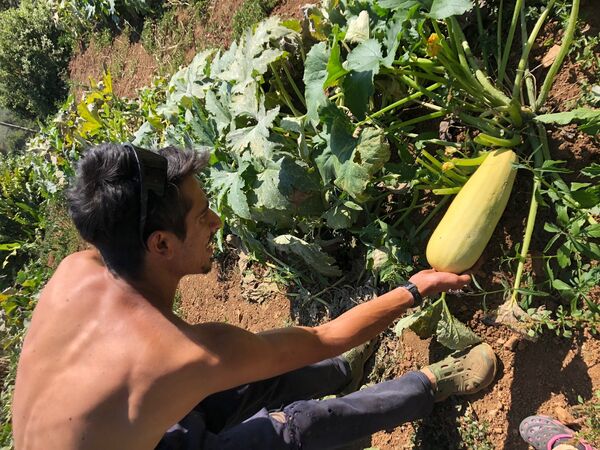 Abraham afirma que nunca comió un enlatado, y en su casa cultiva calabacines Abraham afirma que nunca comió un enlatado, y en su casa cultiva calabacines - Sputnik Mundo