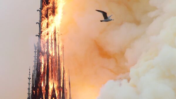 Incendio en la catedral parisina de Notre Dame - Sputnik Mundo
