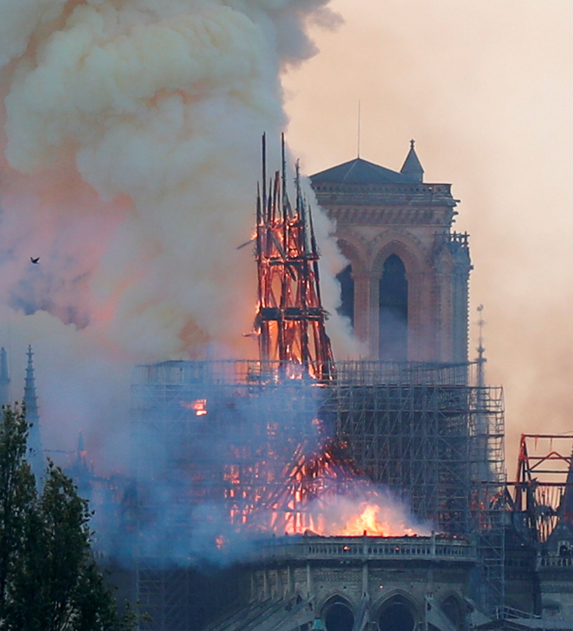 Francia lanzará un concurso arquitectónico internacional sobre la aguja de Notre  Dame , Sputnik Mundo